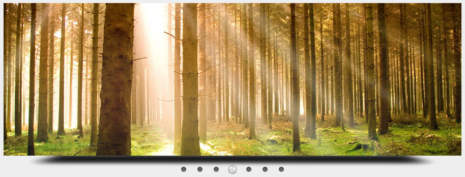 Responsive WordPress Slider