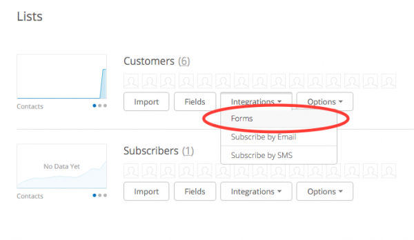WordPress ActiveCampaign Subscription Form Opt-in