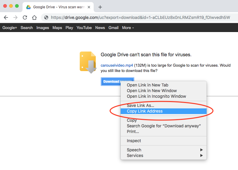 Google Drive Direct Link Generator | WordPress Plugin