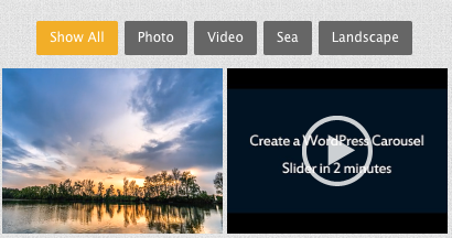 wordpress gallery with category filter
