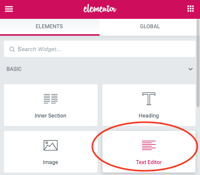 elementor-text-editor