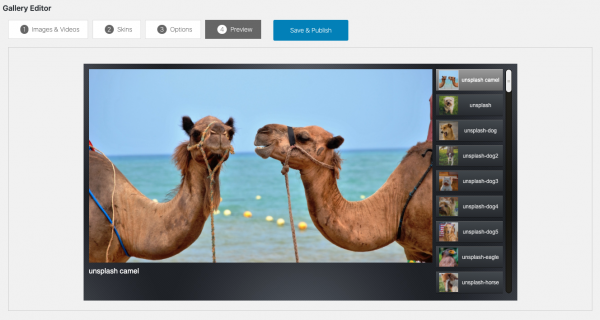 WonderPlugin Gallery Screenshots | WordPress Plugin