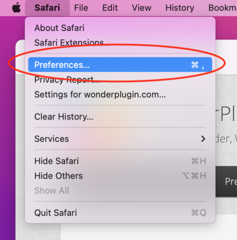 Safari-settings